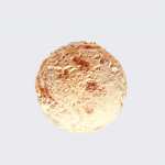 Rum Raisin